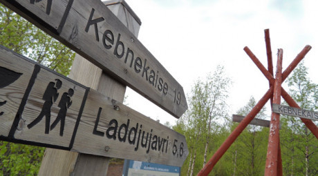 Fj&auml;llvandra