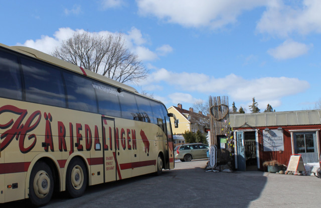 Bussen anländer till Hedvigs Trädgård