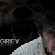Filmzon: The Grey (2012)