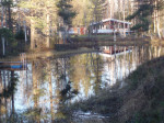 Fiskdammen